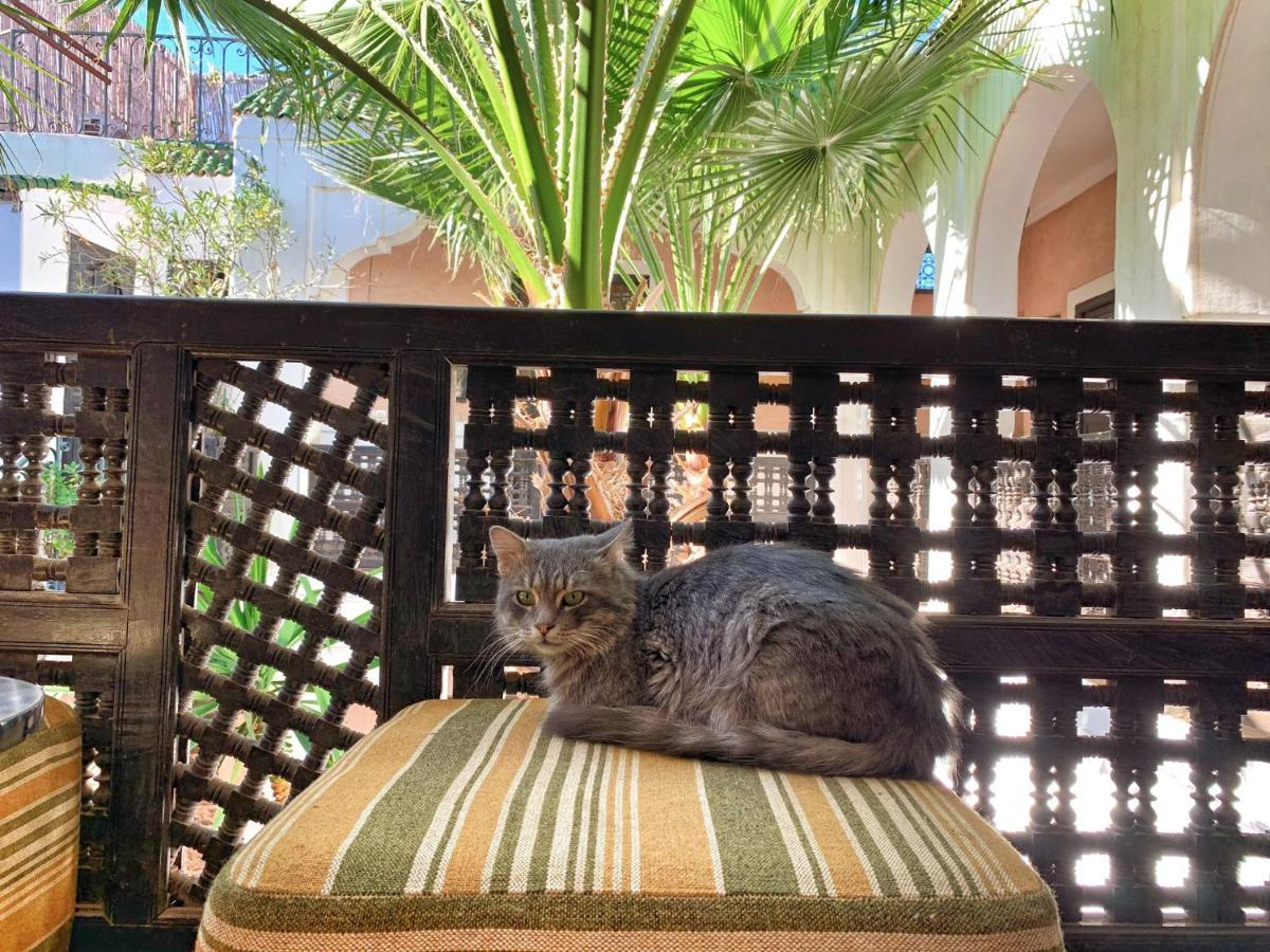 Riad Rockech Маракеш Екстериор снимка