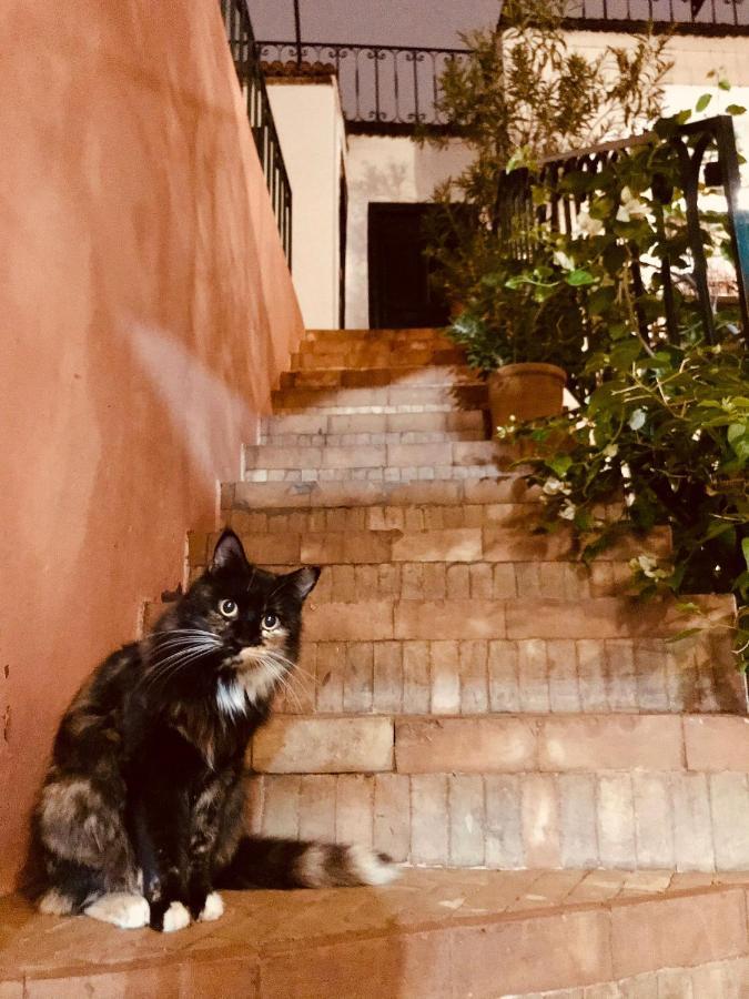 Riad Rockech Маракеш Екстериор снимка